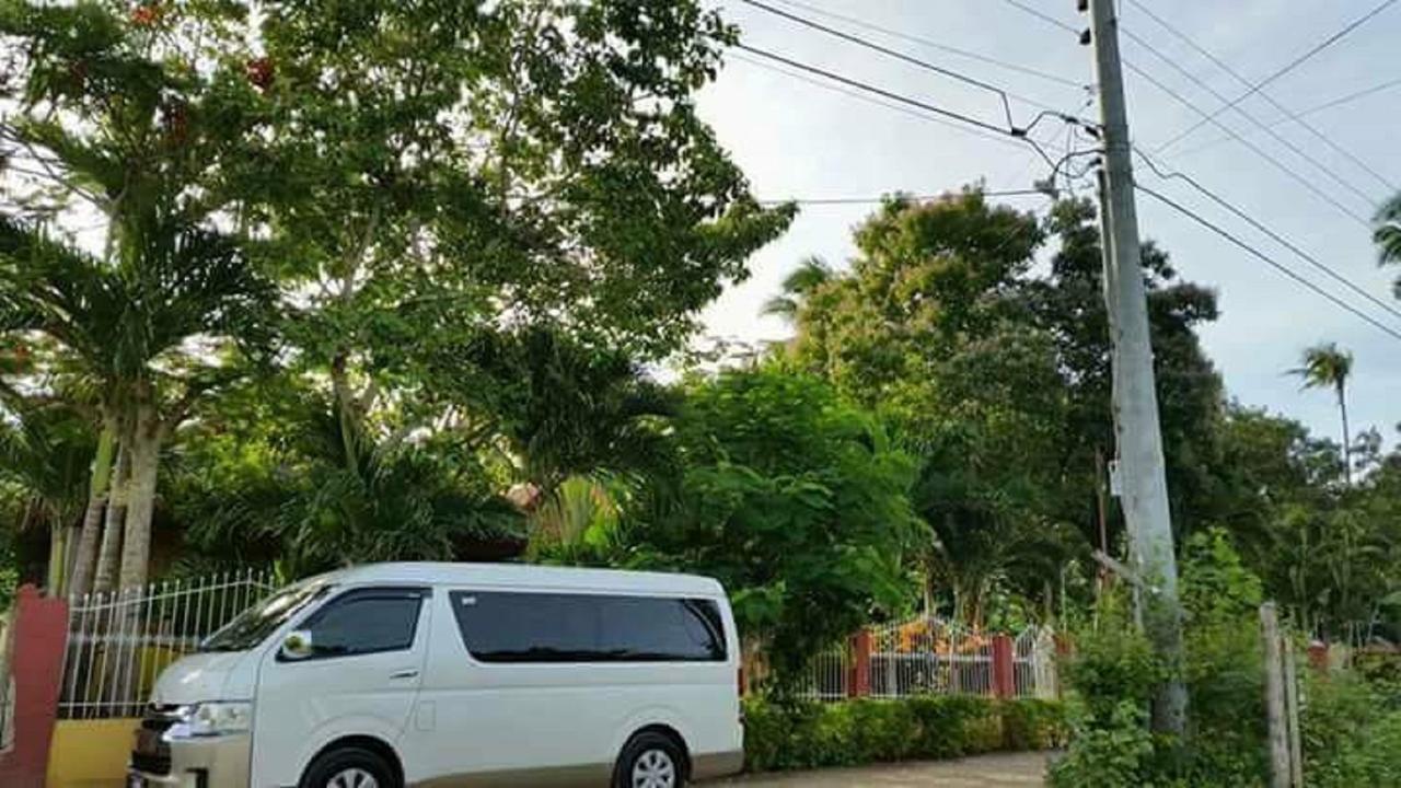 Traville Huts Palm Beach Inn Panglao Exterior foto